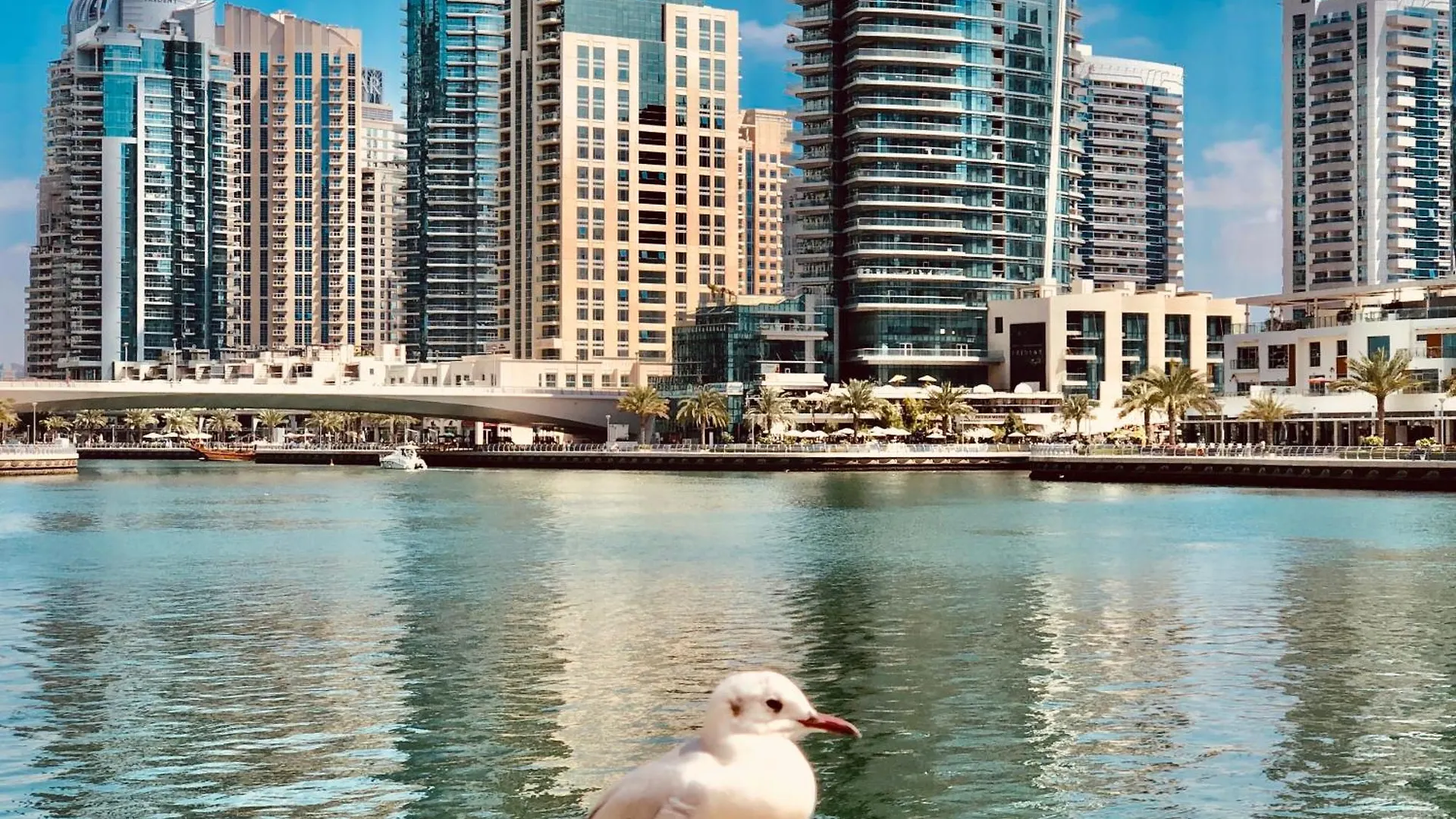 Best Spot In Dubai Marina 0*,  United Arab Emirates
